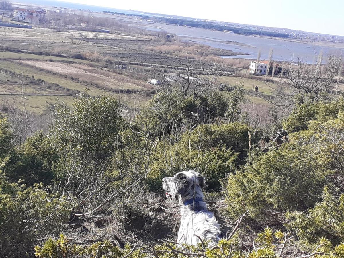 Luli Apartament Papaj
