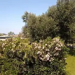 Hotel Luli